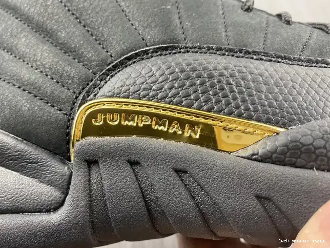Reps LUCY Air Jordan 12 CT8013-071 Taxi Black 0517